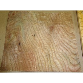Carpathian Elm Burl wood veneer 4" x 5" raw with no backing 1/32"-1/42" thick