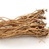 Donguihanjae 동의한재 최상품 통자 국산 우슬 뿌리 500g Dried Korean