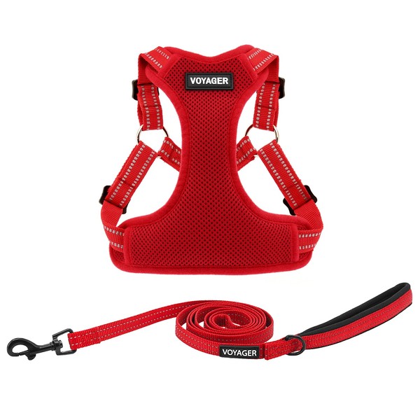 Best Pet Supplies Voyager Adjustable Dog Harness Leash Set with