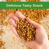 Sincerely Nuts Roasted Soybeans Unsalted (3 LB) Gluten-Free - Vegan