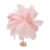 Ostrich Feather Table Lamp Rechargeable Modern Romantic Decoration Lamp Bedroom