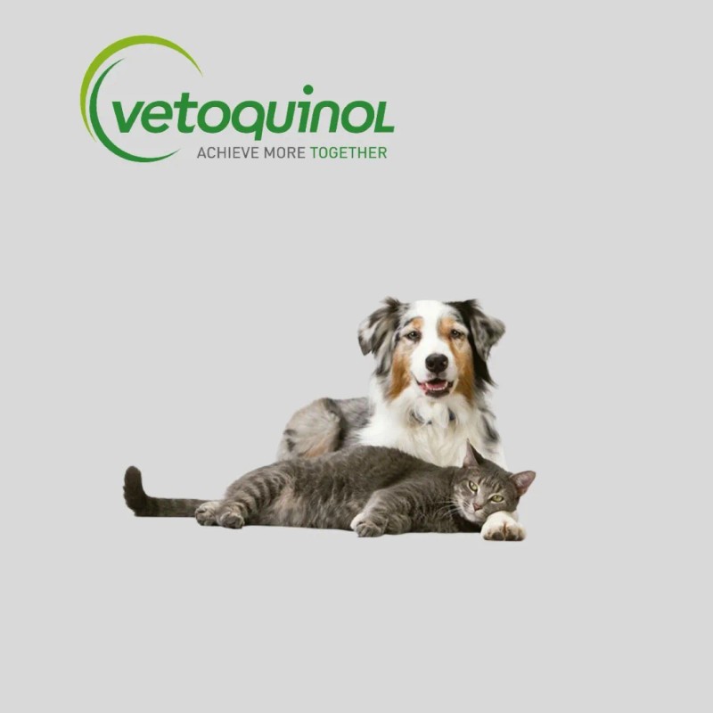 Ipakitine 60 Gramos Polvo Perros Y Gatos Reduce Toxinas