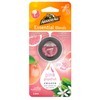 Armor All Membrane Pink Grapefruit 1pk