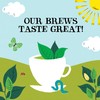 Clipper Pure Green 80 Teabags (Pack of 3, Total 240