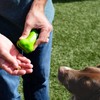 Bolsa para premios de perro, Hueso, Verde