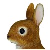 Vivid Arts Baby Rabbit Standing