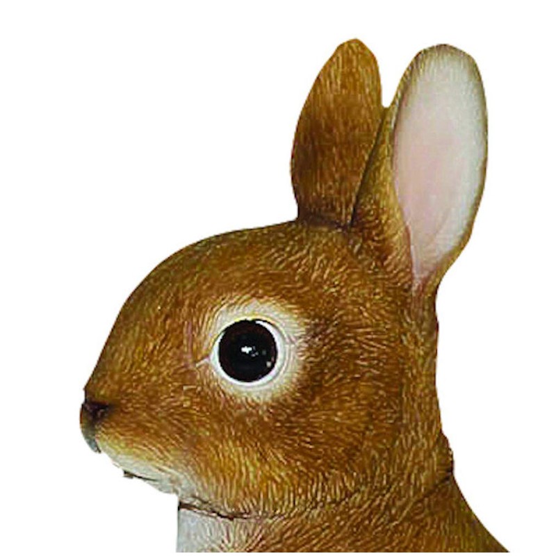 Vivid Arts Baby Rabbit Standing
