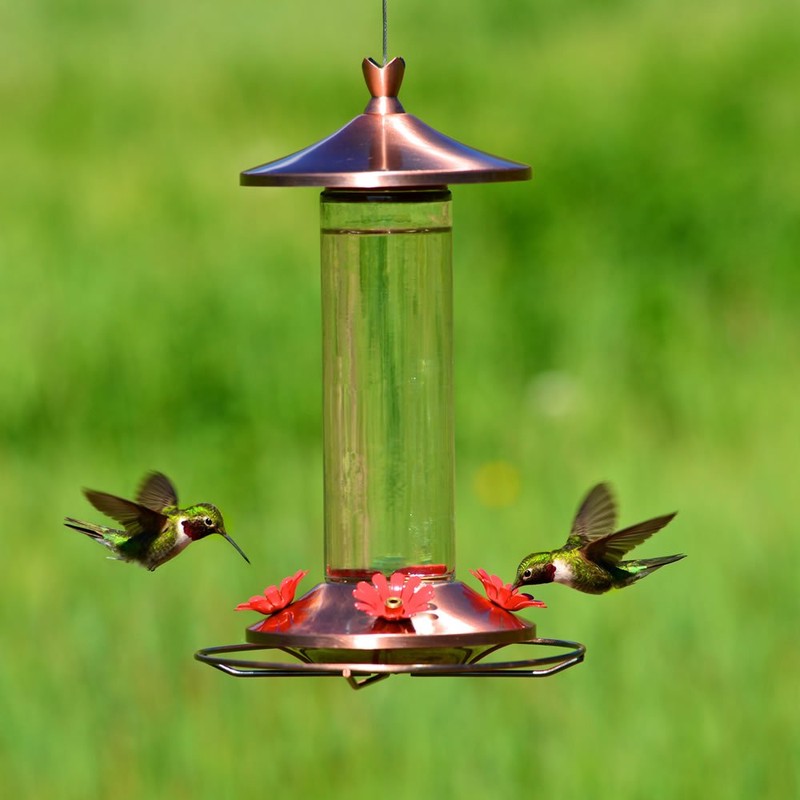 Perky-Pet 710B Elegant Glass Hummingbird Feeder, Copper