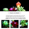 LED Light Set for 10309 Icons Succulents (Not Model) Decoration