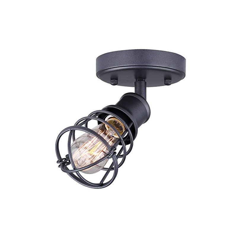 CANARM ICW611A01GPH Otto 1 Light Ceiling/Wall Graphite with Metal Cage