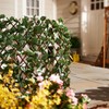 Windscreen4less Artificial Expandable Ivy Leaf Faux Leaves Privacy Fence Screen