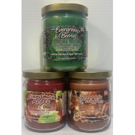 Smoke Odor Exterminator 13 oz Jar Candles Evergreen & Berries, Assortment (3) Includes Evergreen & Berries, Cinnamon Apple & Pumpkin & Waffles.