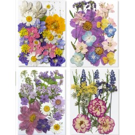 GUTLIVTAG Dried Pressed Flowers, Natural Colorful Pressed Flowers Bulk Real Dry Flowers Leaves Set Dried Flowers for Resin Jewelry Candle Soap Making DIY Nail Art (Multicolor_Purple)