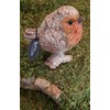 Vivid Arts - SB-ROBN-G Silver Birch Robin Wood Effect Garden