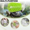 FOWSRHRG 4 Pack Turtle Brush with Suction Cup for Tank,