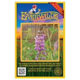 Everwilde Farms - 150 Showy Tick Trefoil Native Wildflower Seeds - Gold Vault Jumbo Seed Packet