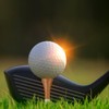 MAZEL Golf Tees Wood Tees Long Tees 70mm/83mm (Pack of