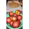 Disposable Apple Maggot Trap Kit 25 Apples, 25 Wire Holders,