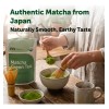 Matcha Organica En Polvo Microingredients Original Hecho Usa