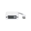 Mobility Lab MAC8008 Adapter Mini DisplayPort auf DVI für Apple
