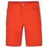 Dare 2b Men's Tuned IN II Tuned in II Shorts