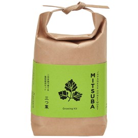Seishin Pottery TSUTSUMI GD-99603 All Year Round Home Garden Easy Cultivation Kit Mitsuba Vegetables Cultivation Set (Free Research / Food Education), Pot Approx. 3.1 x 1.6 inches (8 x 4 cm)