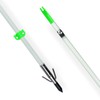 TIGER ARCHERY 34inch Bowfishing Arrows Solid Fiberglass Shaft with Broadhead