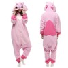 Superband Animal Cosplay Costume Adult Onesie Pajamas Cartoon Sleepwear Pink