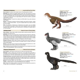 Birds of the Mesozoic: An Illustrated Field Guide