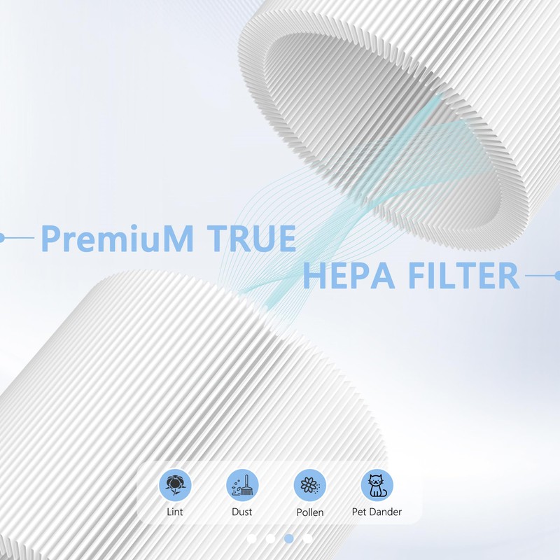2 Pack H13 True HEPA Replacement Filter Compatible with oneisall