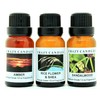 Crazy Candles 3 Bottle Set: 1 Amber, 1 Rice Flower