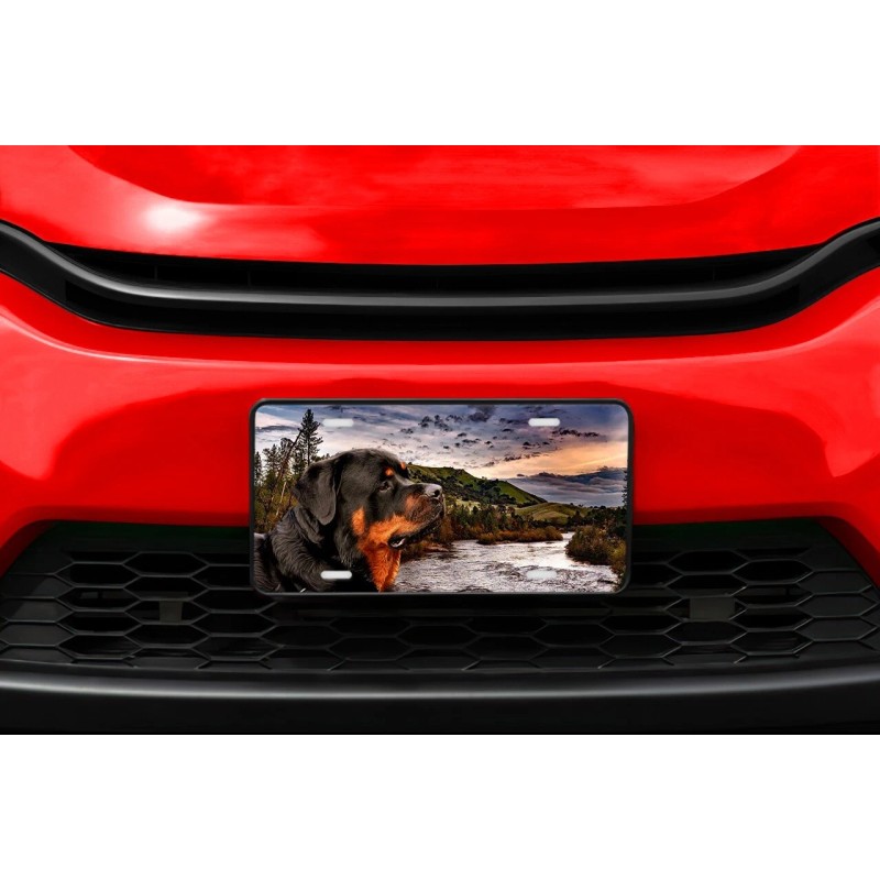 Twisted R Design Rottweiler Vanity Decorative Front License Plate Cute