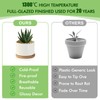 ZOUTOG 12 Pack Ceramic Succulent Pots,4 Inch Plant Pots,Succulent Planters
