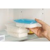 Shimomura 28862 Imotani Lala Storage Containers, Made in Japan, Freezable,