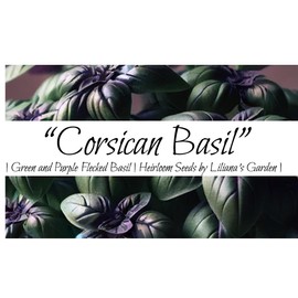 “Corsican” Basil Seeds – Distinct Deep Purple Basil with Flecks of Green and Strong Scent | Ocimum basilicum | Always Heirloom and Open-Pollinated | USA Grown Seeds by Liliana's Garden |