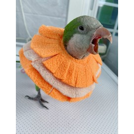 RRRIOT Adjustable Parrot Cone Collar, Safe and Practical Cotton Collar to Prevent Bites and Licking Wounds, to Help heal (5XL)