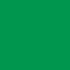 JILLSON & ROBERTS Bulk Gift Wrapping Paper, Matte Green, 1/2 Ream 417' x 24"