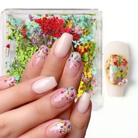 3D Dried Flowers for Nails,Colorful Dry Flower for Nails Kit - DIY Mini Mix Flower Petals Nail Stickers Natural Floral Dried Flower Decals for Nails Design Manicure Accessories 1 Box