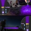 UV Flashlight Black Light USB Rechargeable 395nm Blacklight Mini, Woods