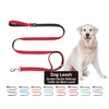 Double Handle Walking/Traffic Air Mesh Leash