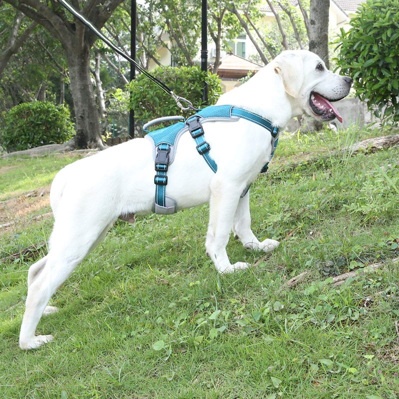 BELPRO Multi-Use Support Dog Harness, Escape Proof No Pull Reflective