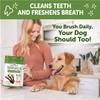 Wellness WHIMZEES Value Pack Dog Dental Treat, Chews, Freshens Breath,