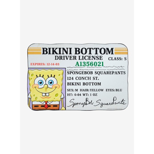 Hot Topic Spongebob Squarepants Boating License Wall Art Multi None
