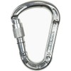 Climbing Technology Concept SG Carabiner, grey