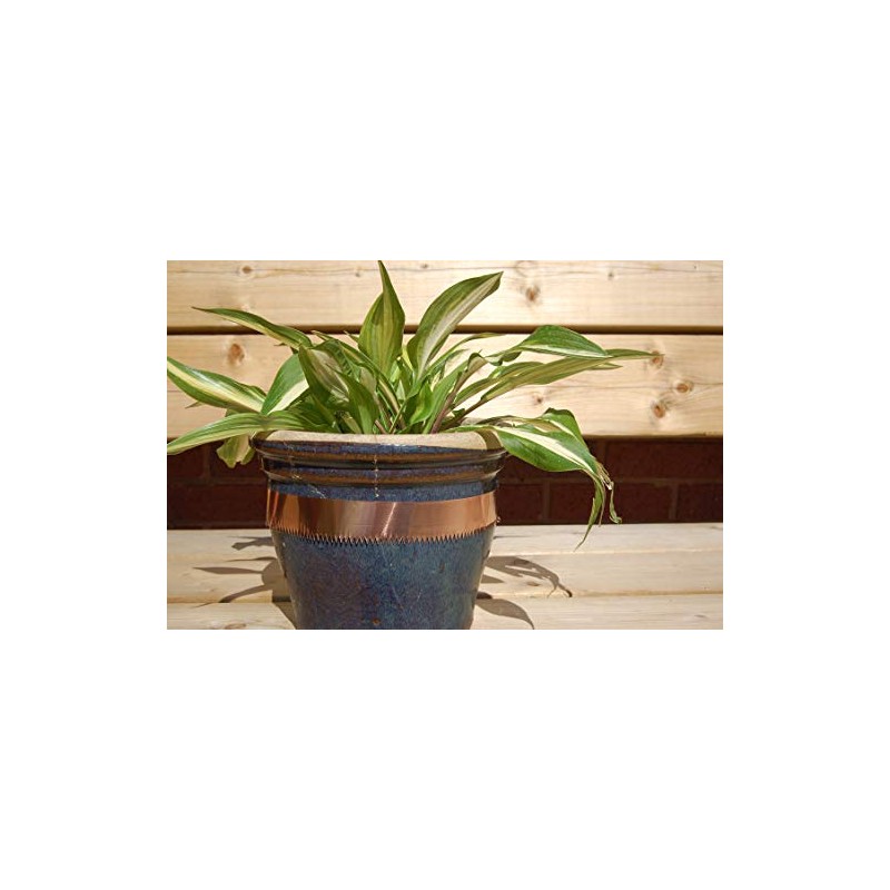 Agralan HA135 Copper Snail and Slug Tape