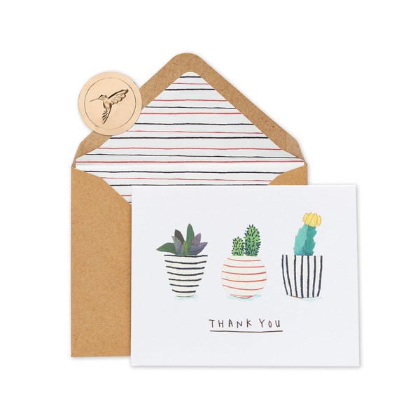 Papyrus Thank You Cards with Envelopes, Succulents (20-Count)