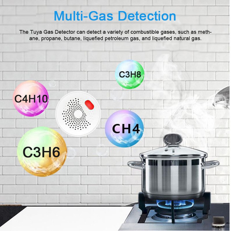 WiFi Gas Alarm Plug in Combustible Gas Detector for Tuya