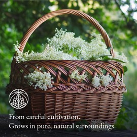 Elderflower Tea Monte Nativo (200 g) - 100% pure and natural elderflowers with no additives - For delicious herbal infusions and dessert decorations - Aromatic herbal Tea - Fruit tea