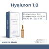 Hyaluron 1.0 Dermik – Deep Hydration & Plumping Solution –