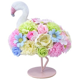 Greenhouse Flamingo Soapflower Mix 5158-MX